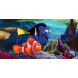 Disney® Nemo, Dory