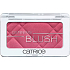 Catrice Defining Blush tvářenka 110 Legend-berry 5 g